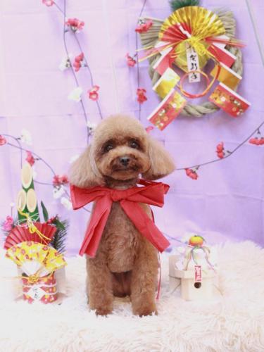 20230128ルアナちゃん